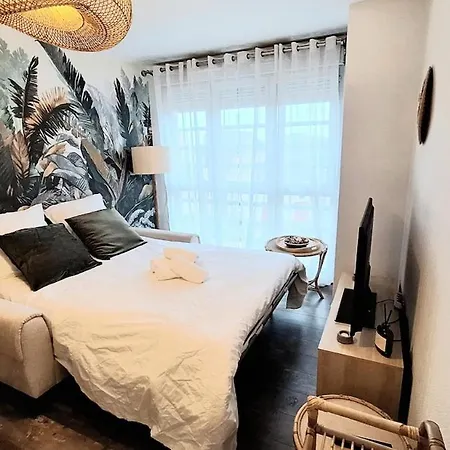 Cosy, Balcon Et Place Privee Apartment Le Mans